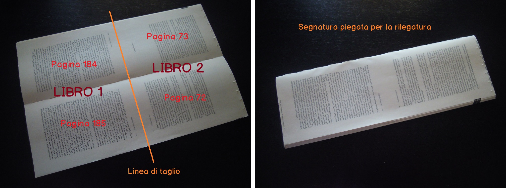 Grafica Veneta Dove Nascono I Libri Webnauta Grafica Veneta Dove Nascono I Libri Webnauta