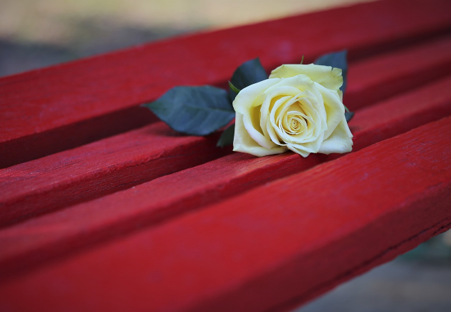 I panni sporchi (non) si lavano in famiglia - Giornata internazionale per l'eliminazione della violenza contro le donne