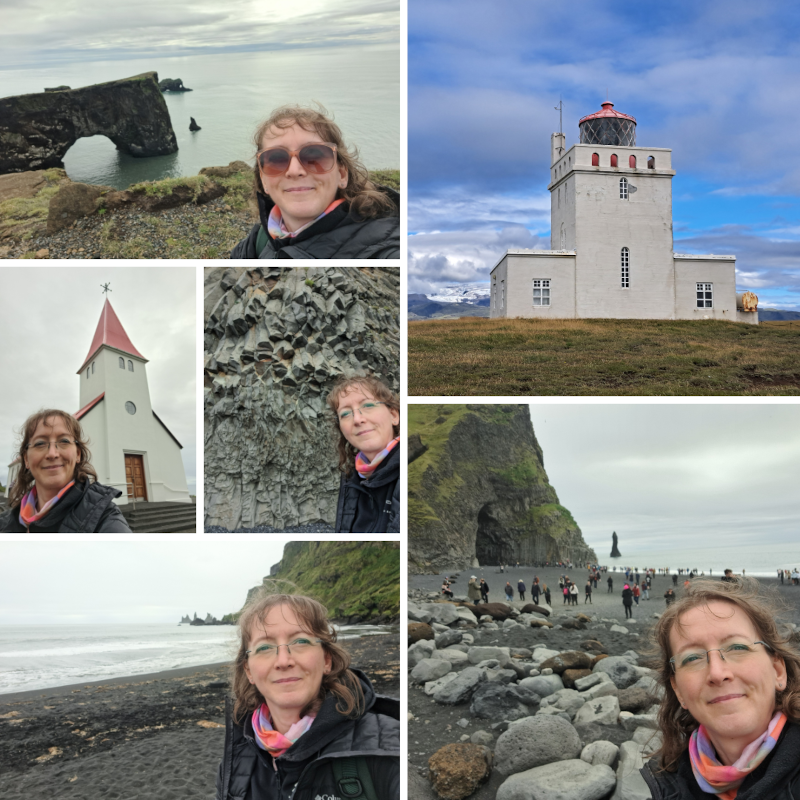 Islanda - Dyrholaey, Vik e Reynisfjara