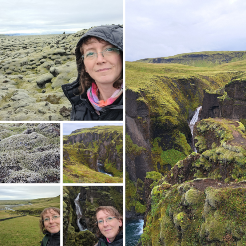 Islanda - Canyon Fjadrargljufur